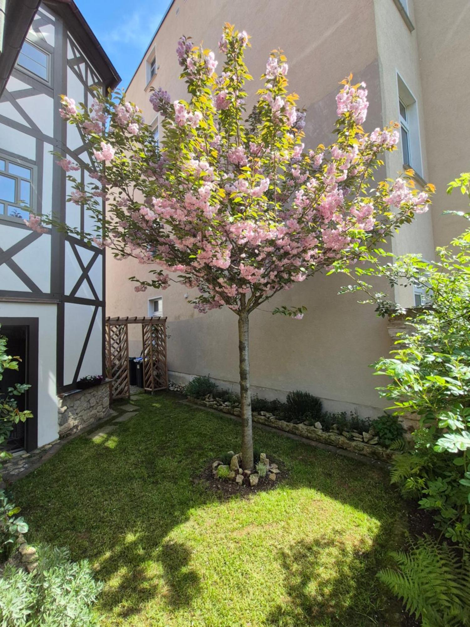 Aussergewoehnliches, Historisches, Spaetgotisches Wohnhaus Von 1519, Gries 5 Gera Exterior photo